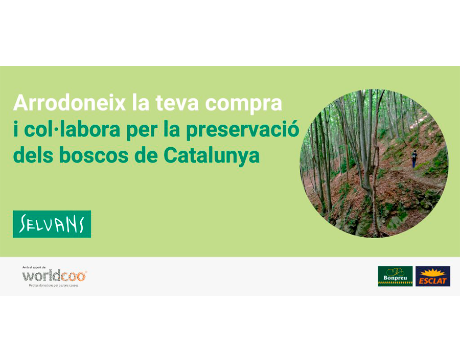 Este JUNIO nos podéis ayudar a preservar bosques centenarios a través del redondeo solidario en BONPREU/ESCLAT