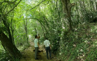 Visita amb Grup Cañigueral al bosc protegit gràcies a l’empresa