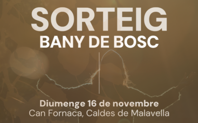 Bases legals – Sorteig “Saps què és un bany de bosc?” de Tardor.