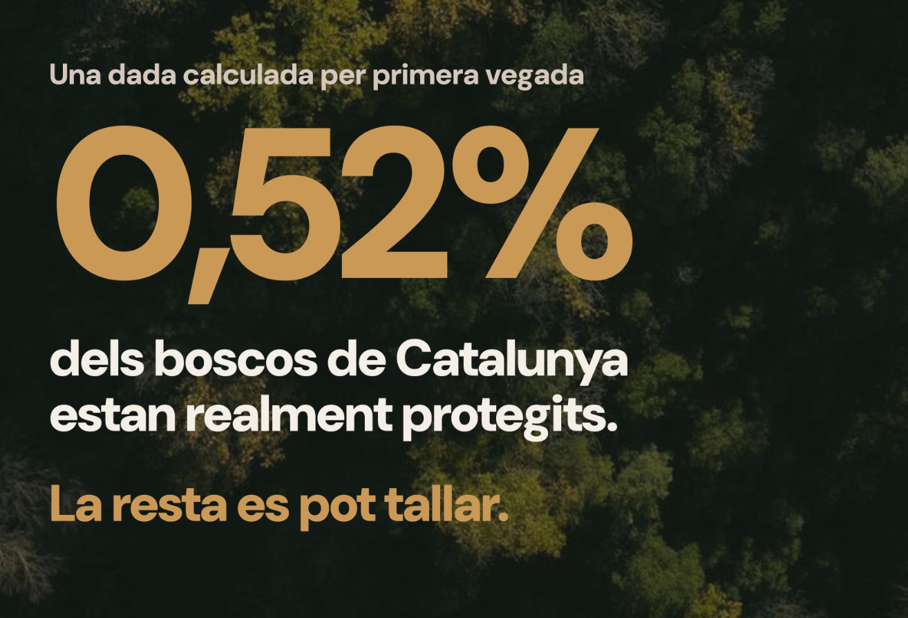 Catalunya continua lluny dels objectius europeus de protecció forestal: només un 0,52% dels boscos tenen protecció robusta